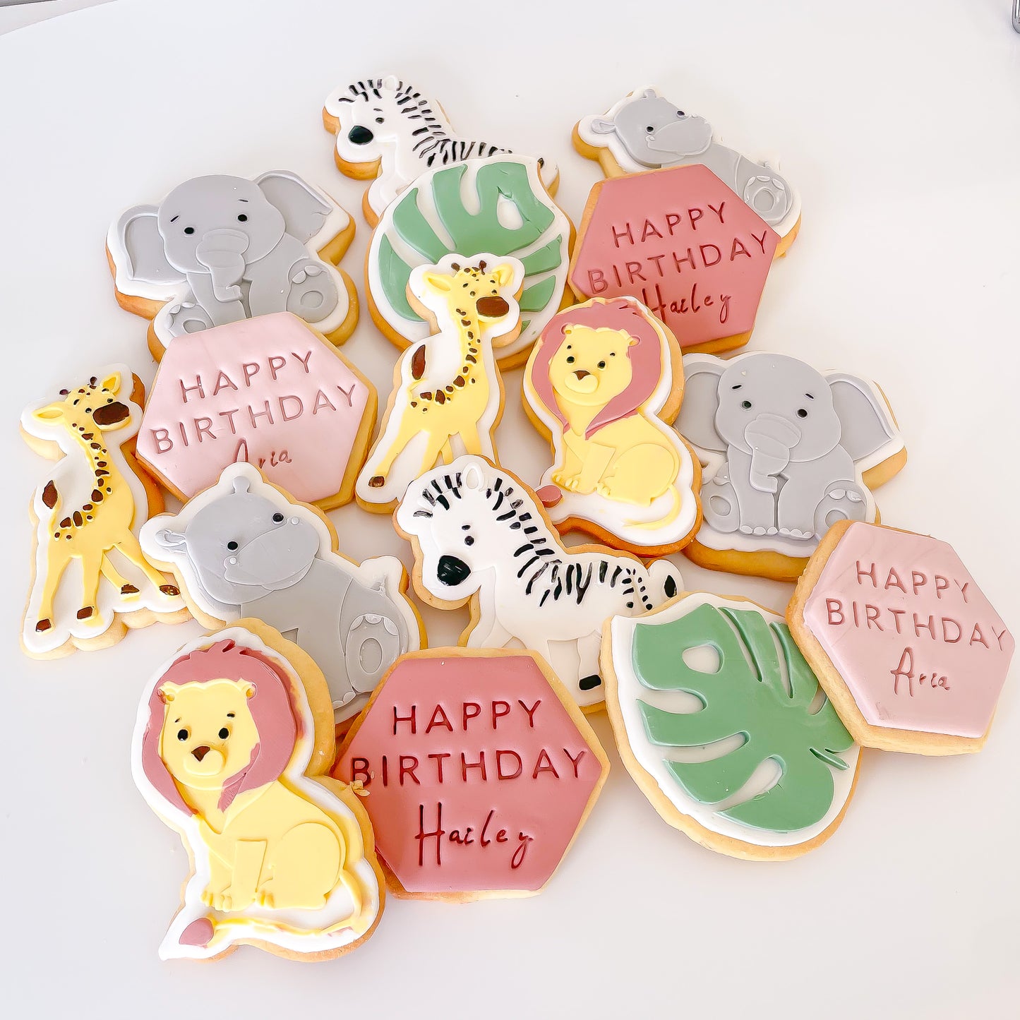 Jungle Birthday Cookie Pack